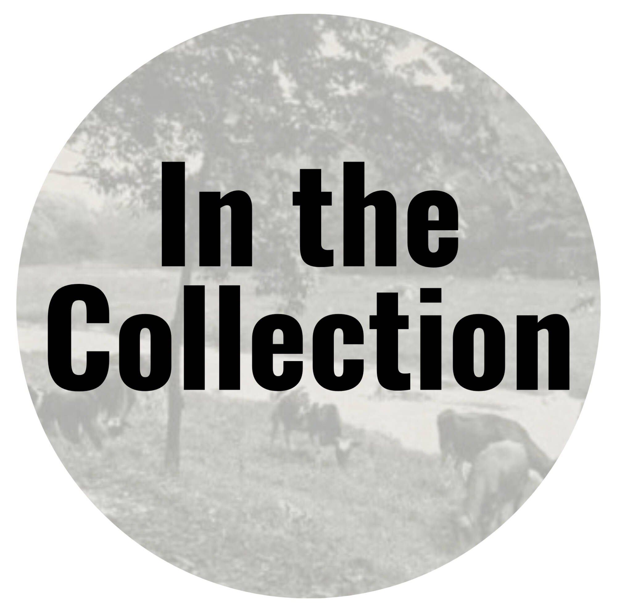 Click to learn about the Real Photo Postcards in the GVAM collection.